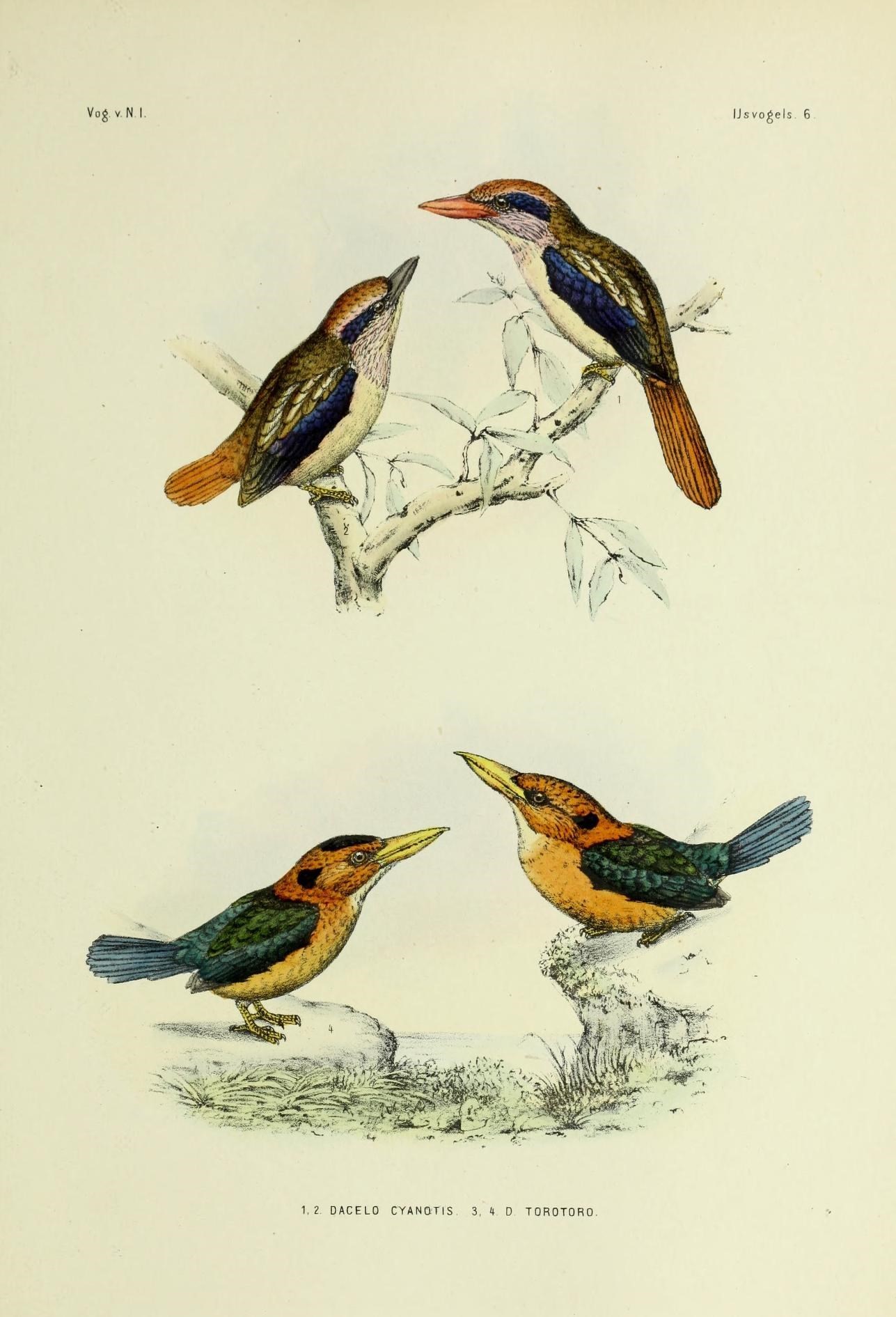 Sivun Cittura Kaup 1848 kuva