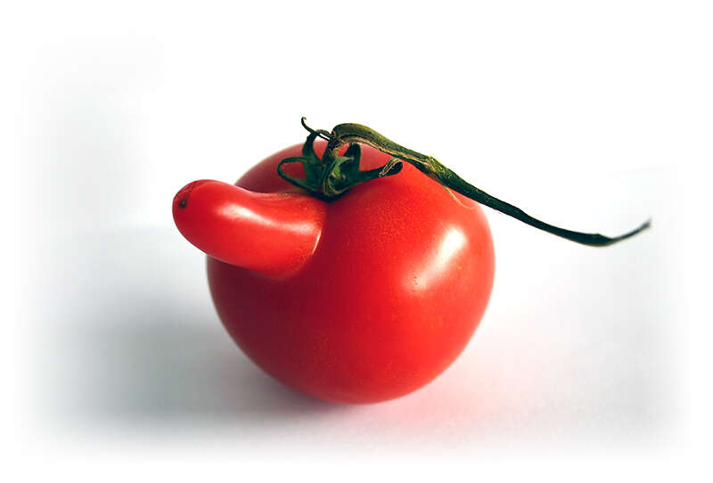 Image of tomato