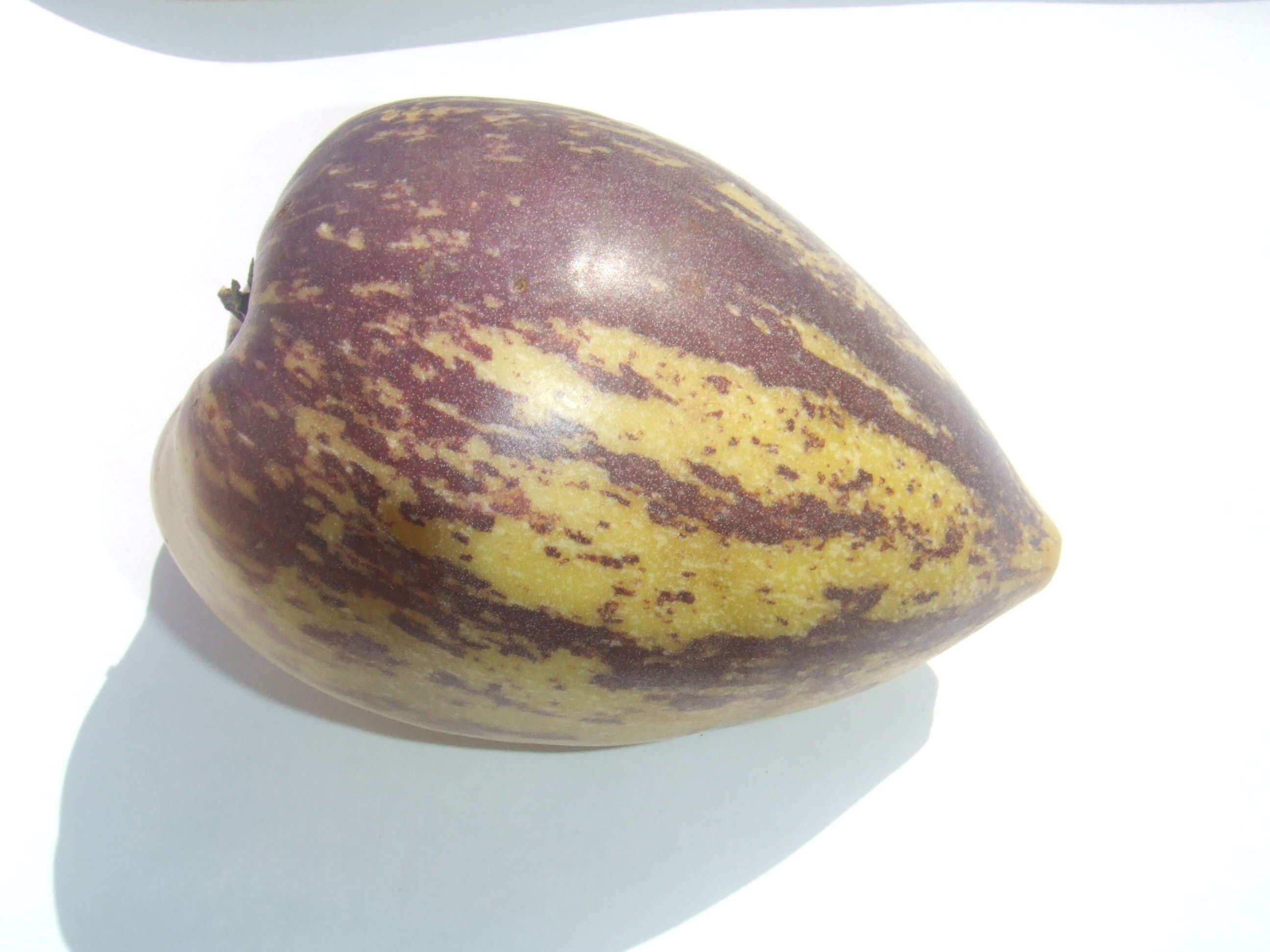 Image of pepino