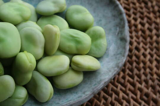 Image of Broad Bean