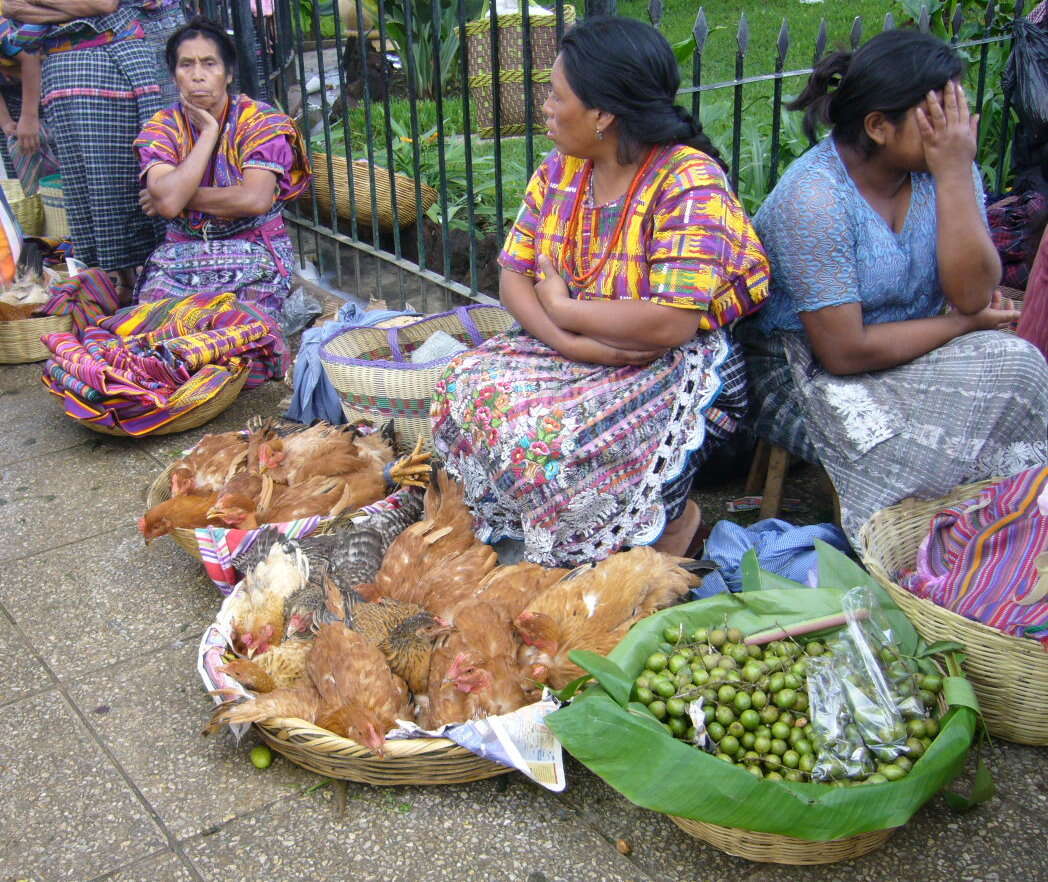 Image of Spanish lime