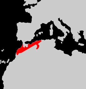 <span class="translation_missing" title="translation missing: en.medium.untitled.map_image_of, page_name: Algerian Orange-tailed Skink">Map Image Of</span>