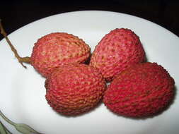 Image of lychee