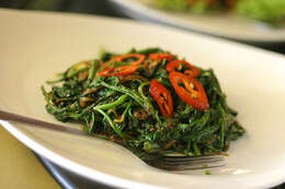 Image of kangkung