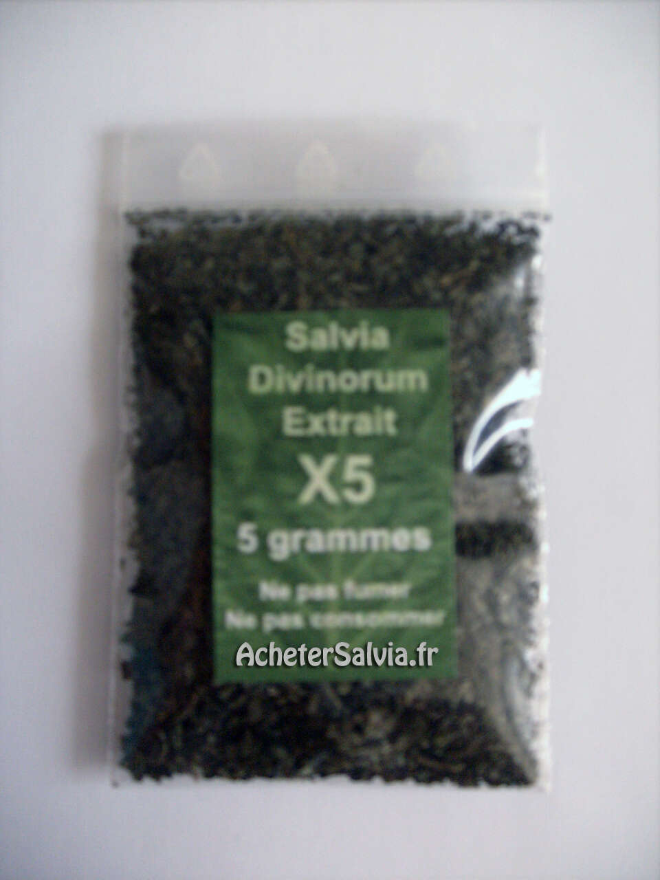 Image of yerba de la pastora