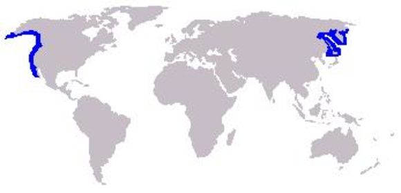 <span class="translation_missing" title="translation missing: en.medium.untitled.map_image_of, page_name: Sea Otter">Map Image Of</span>