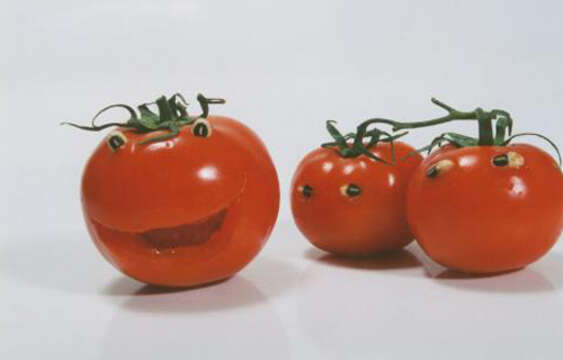 Image of tomato