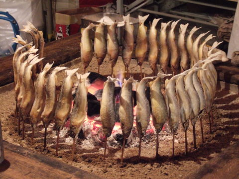 Image of Ayu sweetfish