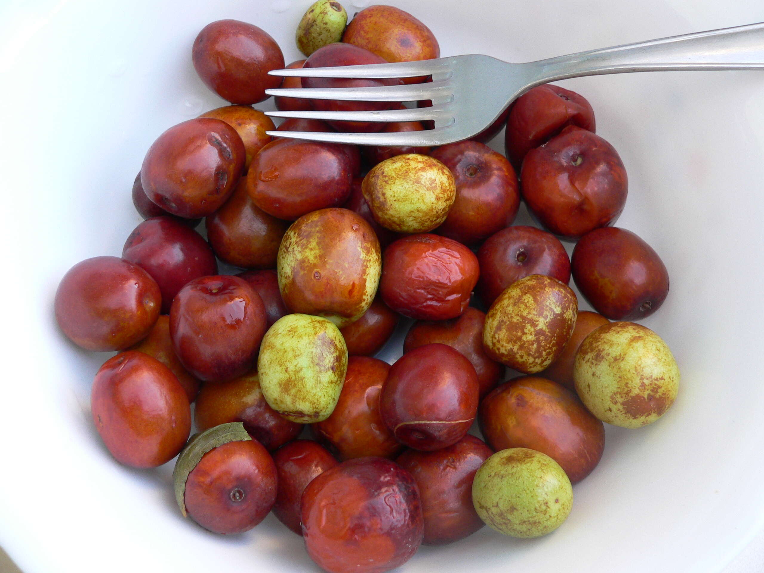 Image of Jujube