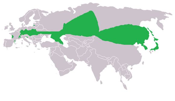 <span class="translation_missing" title="translation missing: en.medium.untitled.map_image_of, page_name: <i>Phengaris teleius</i>">Map Image Of</span>