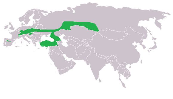 <span class="translation_missing" title="translation missing: en.medium.untitled.map_image_of, page_name: <i>Phengaris nausithous</i>">Map Image Of</span>
