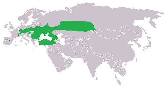 <span class="translation_missing" title="translation missing: en.medium.untitled.map_image_of, page_name: <i>Phengaris nausithous</i>">Map Image Of</span>