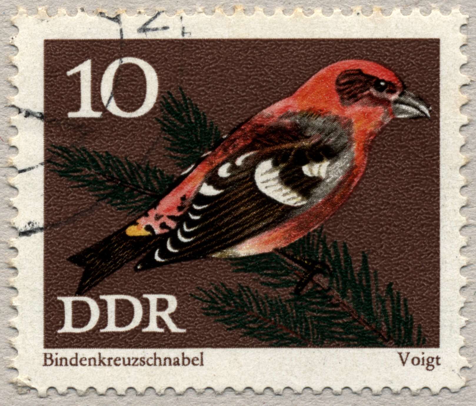 Image of Two-barred Crossbill