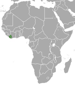 Image of Liberiictis kuhni