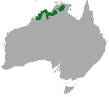 <span class="translation_missing" title="translation missing: en.medium.untitled.map_image_of, page_name: Short-eared Rock Wallaby">Map Image Of</span>