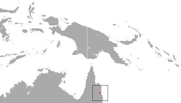 <span class="translation_missing" title="translation missing: en.medium.untitled.map_image_of, page_name: Cinereous Ringtail">Map Image Of</span>