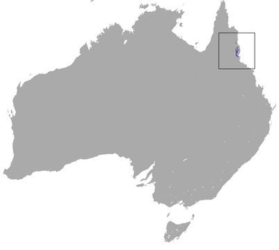 <span class="translation_missing" title="translation missing: en.medium.untitled.map_image_of, page_name: Lemur-like Ringtail">Map Image Of</span>