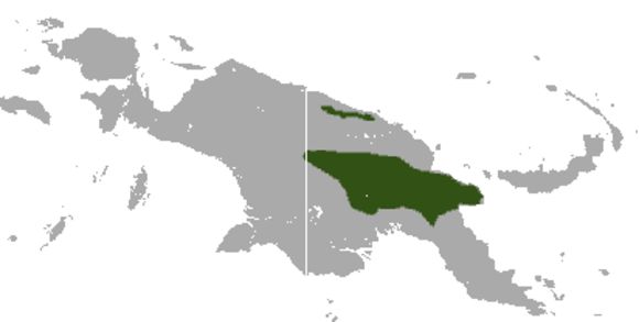 <span class="translation_missing" title="translation missing: en.medium.untitled.map_image_of, page_name: Masked Ringtail Possum">Map Image Of</span>