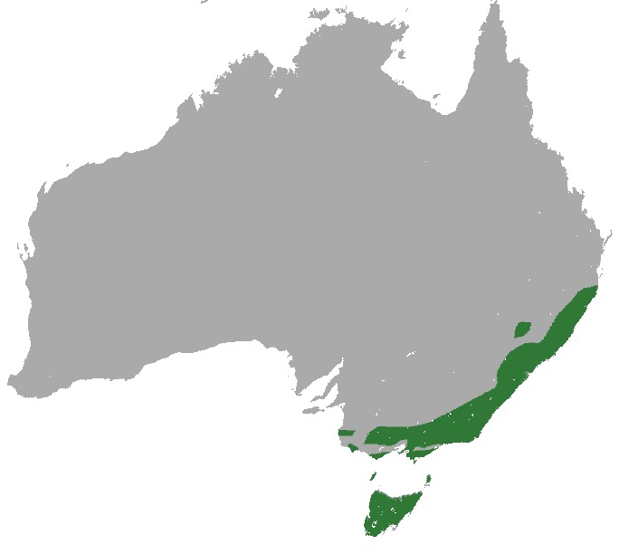 <span class="translation_missing" title="translation missing: en.medium.untitled.map_image_of, page_name: pygmy possums">Map Image Of</span>