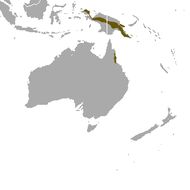 <span class="translation_missing" title="translation missing: en.medium.untitled.map_image_of, page_name: pygmy possums">Map Image Of</span>