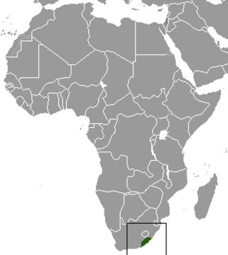 Image of Giant Golden Mole