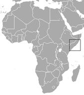 Image of Somali Golden Mole