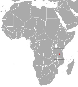 Image of Udzungwa Red Colobus