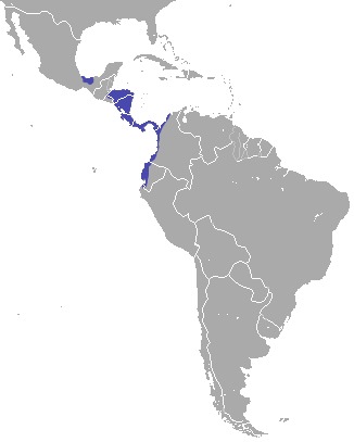 <span class="translation_missing" title="translation missing: en.medium.untitled.map_image_of, page_name: Ecuadorian Mantled Howling Monkey">Map Image Of</span>