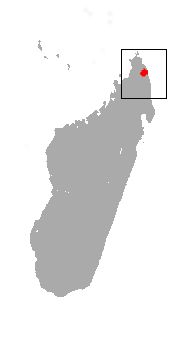 <span class="translation_missing" title="translation missing: en.medium.untitled.map_image_of, page_name: Tattersall's Sifaka">Map Image Of</span>