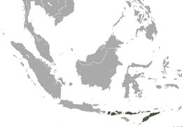 <span class="translation_missing" title="translation missing: en.medium.untitled.map_image_of, page_name: Lombok Flying Fox">Map Image Of</span>