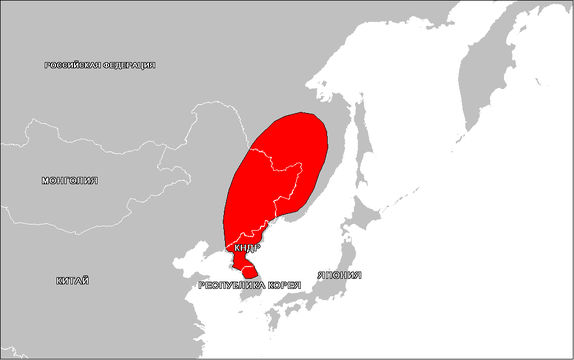 <span class="translation_missing" title="translation missing: en.medium.untitled.map_image_of, page_name: <i>Callipogon</i> (<i>Eoxenus</i>) <i>relictus</i> Semenov 1899">Map Image Of</span>