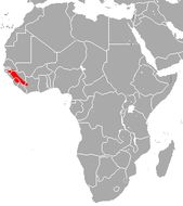 <span class="translation_missing" title="translation missing: en.medium.untitled.map_image_of, page_name: Guinean Horseshoe Bat">Map Image Of</span>