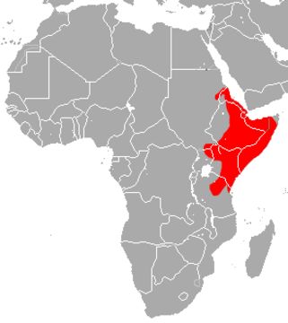 <span class="translation_missing" title="translation missing: en.medium.untitled.map_image_of, page_name: false vampire bats">Map Image Of</span>