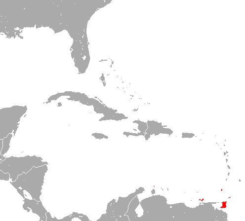 <span class="translation_missing" title="translation missing: en.medium.untitled.map_image_of, page_name: Trinidad Dog-like Bat">Map Image Of</span>