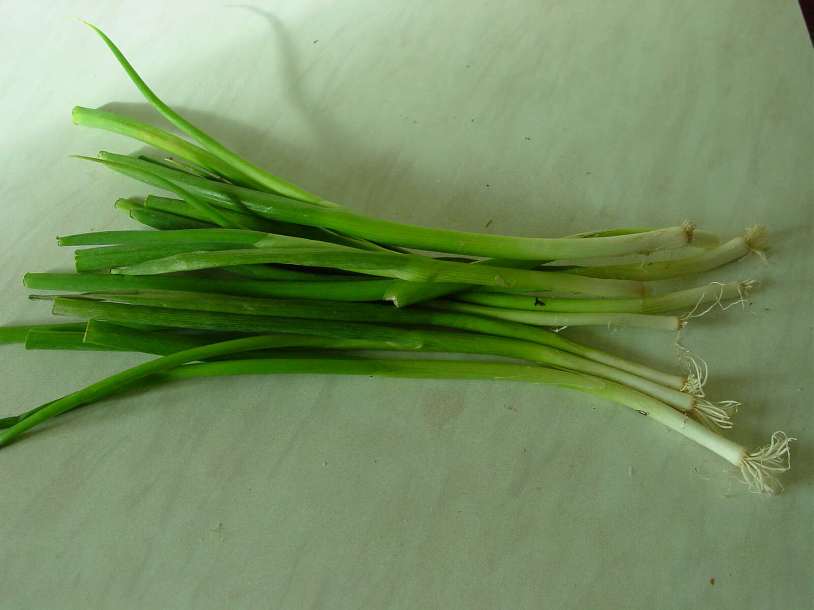 Image of garden onion