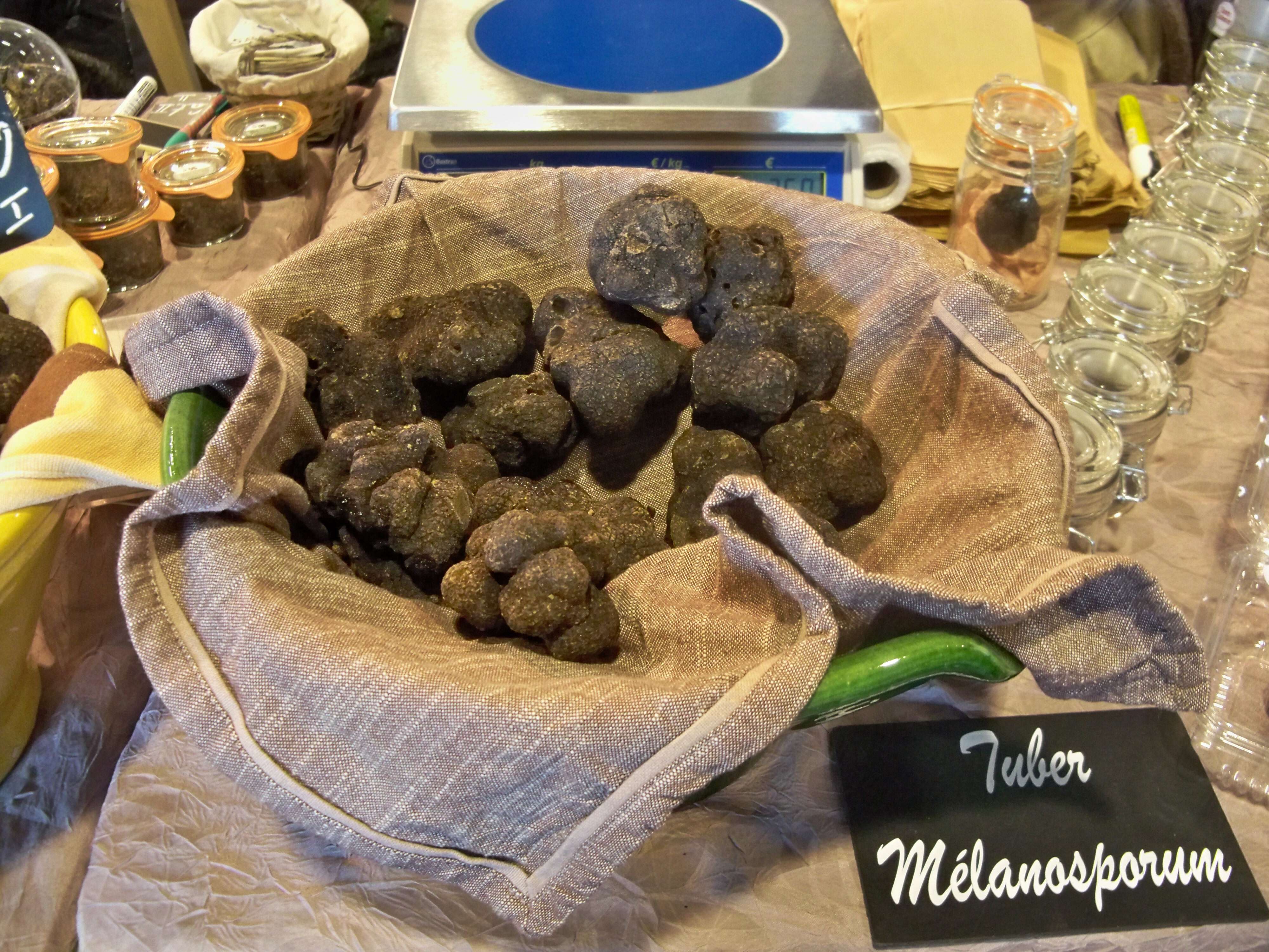 Image of Black Périgord Truffle