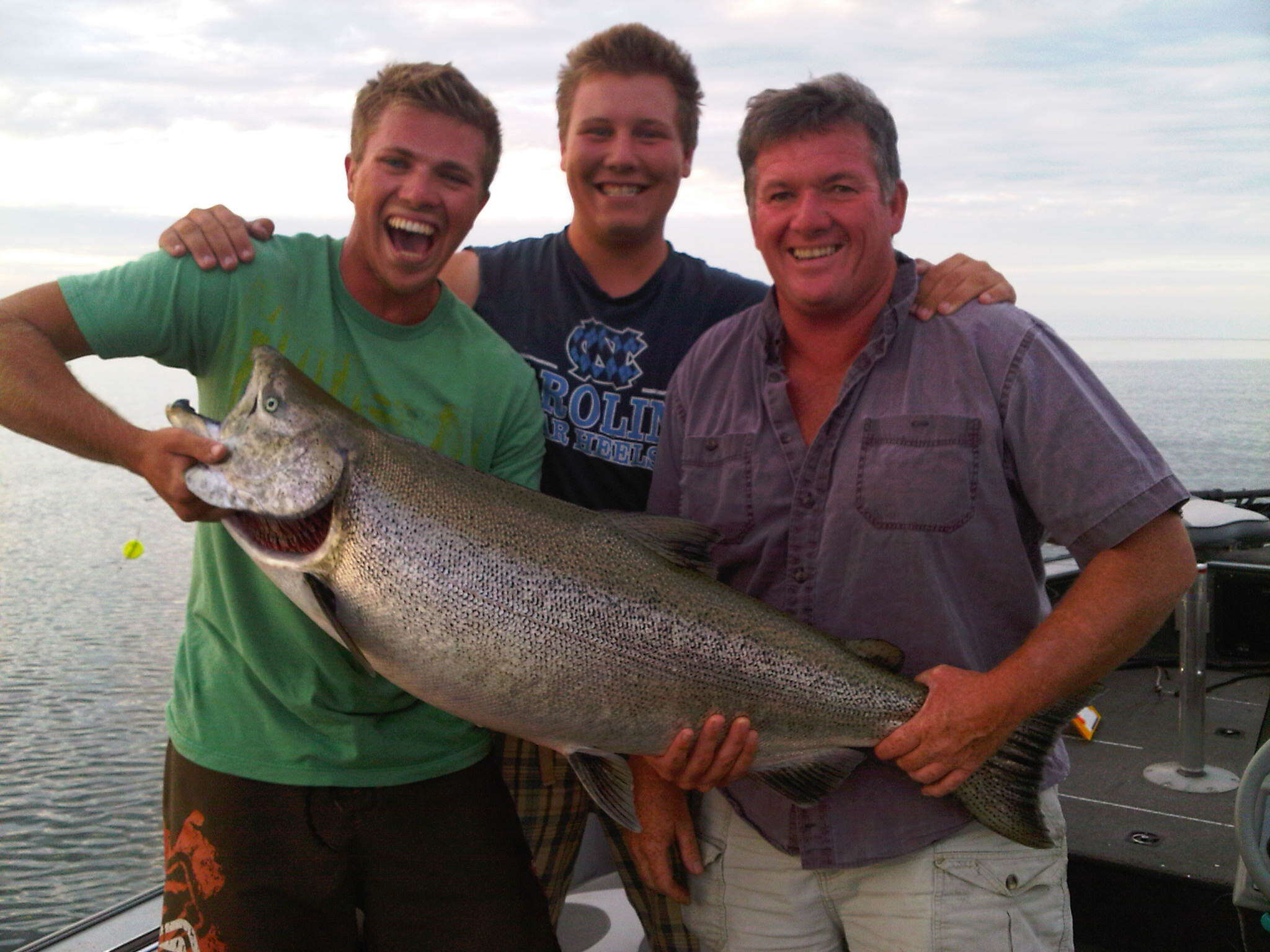 Image of Chinook Salmon