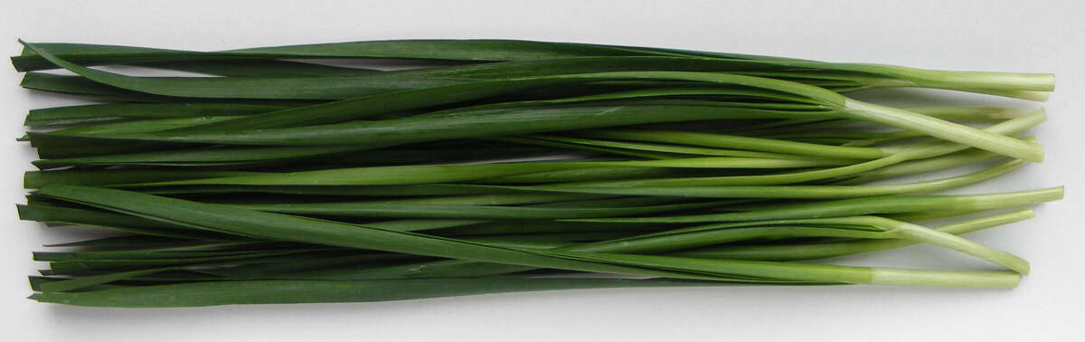 Image of Chinese chives