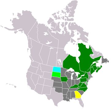 <span class="translation_missing" title="translation missing: en.medium.untitled.map_image_of, page_name: sugar maple">Map Image Of</span>