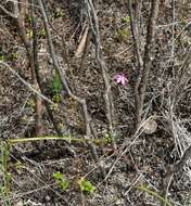 Image of White fingers