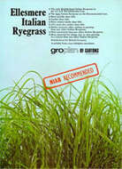 Image of Italian Rye Grass