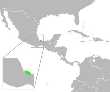 <span class="translation_missing" title="translation missing: en.medium.untitled.map_image_of, page_name: <i>Bufo cavifrons</i>">Map Image Of</span>
