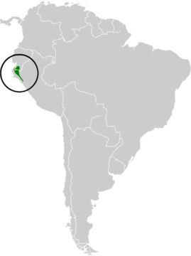 <span class="translation_missing" title="translation missing: en.medium.untitled.map_image_of, page_name: Three-banded Warbler">Map Image Of</span>