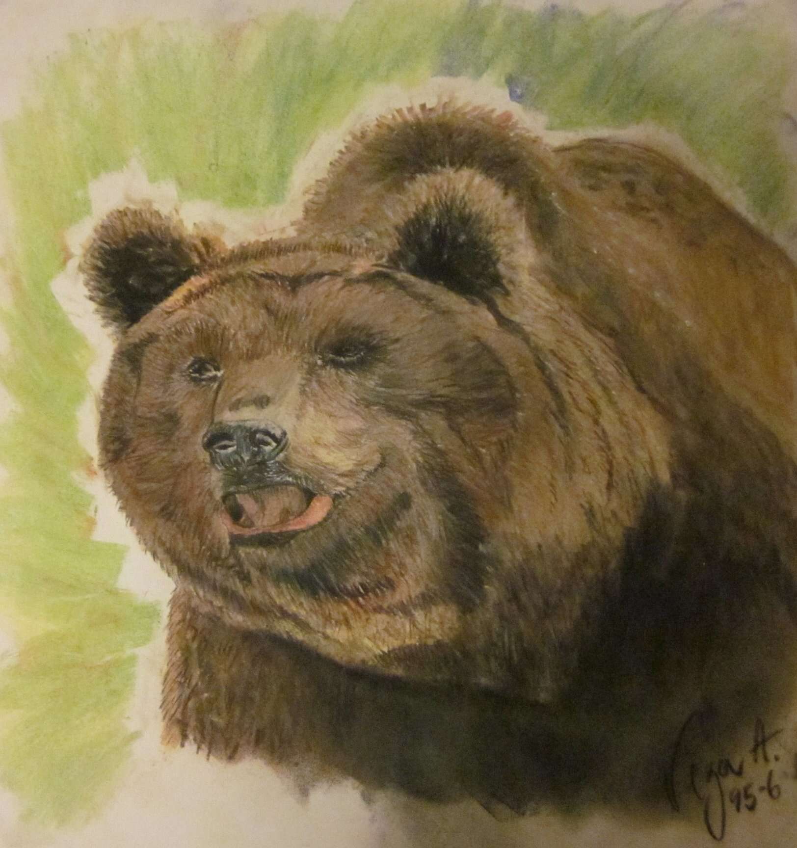 Image of Brown Bear