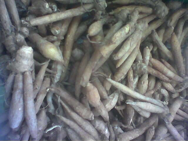 Image of Chinese Ginger
