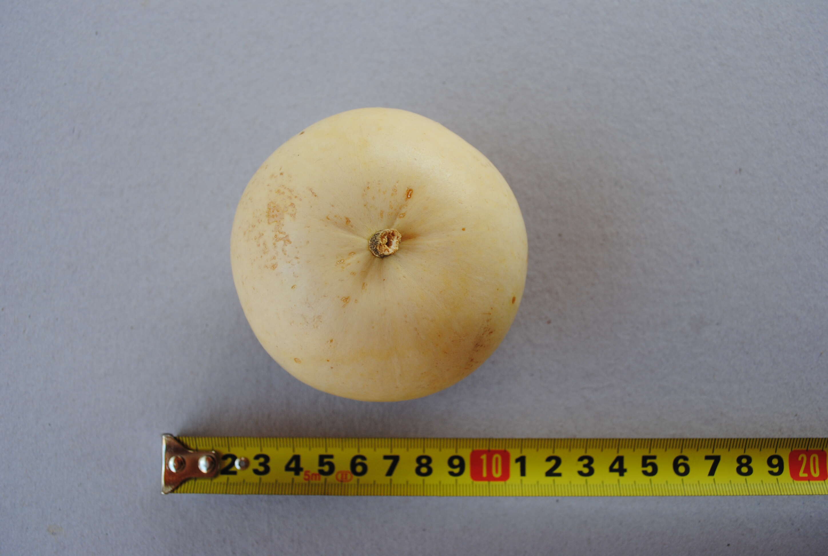 Image of winter squash