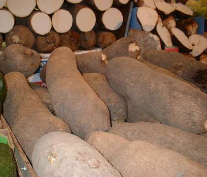 Image of yam