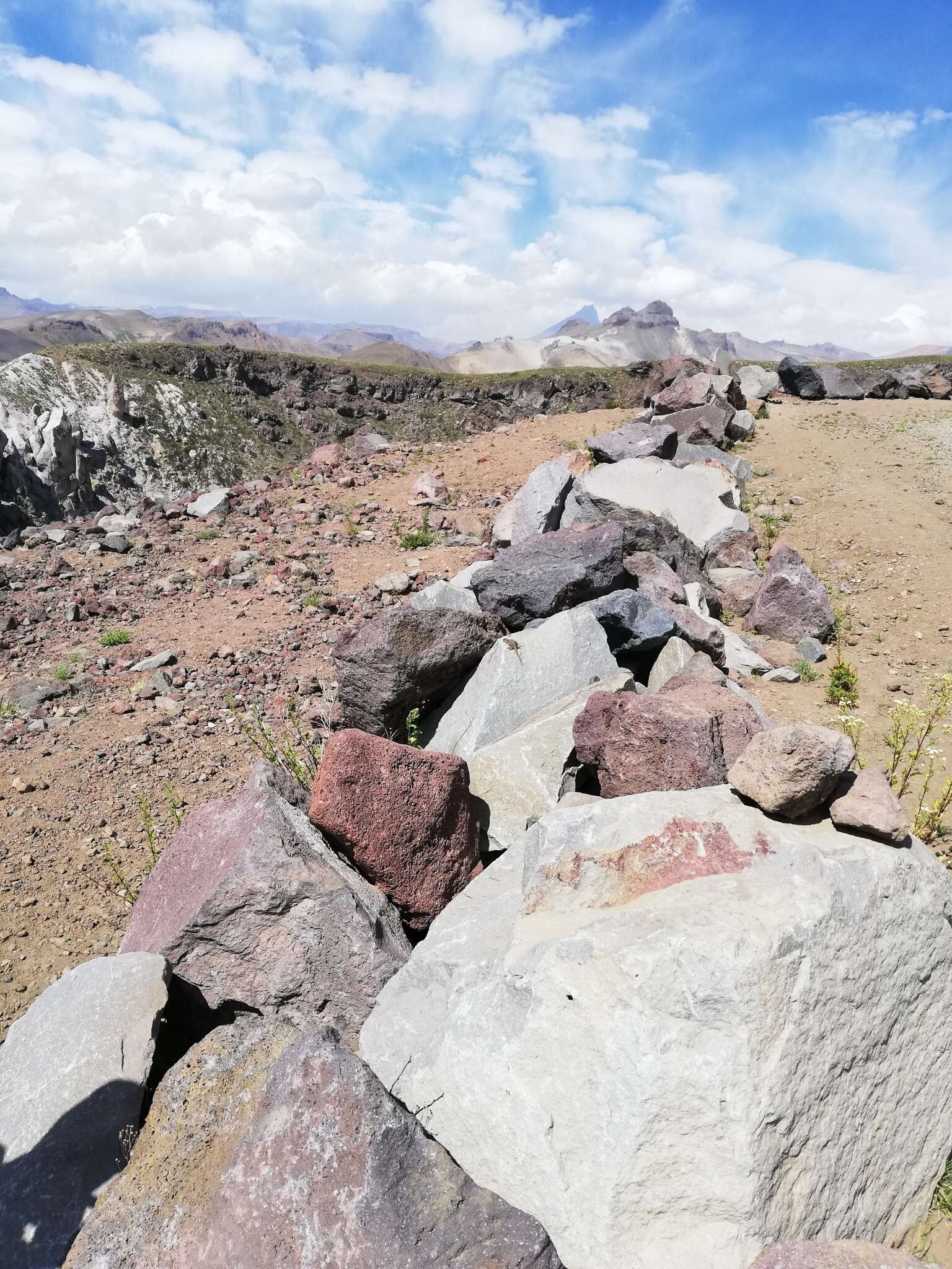 Image of Phymaturus loboi Troncoso-Palacios, Ferri-Yáñez, Laspiur & Aguilar 2019