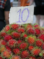 Image of rambutan