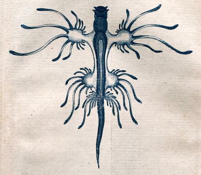 Image of B